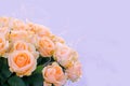 Bouquet delicate cream-colored roses