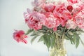 Bouquet delicate fresh flowers and buds pink peonies