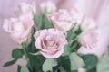 Bouquet of delicate romantic pink roses. Romantic Valentines, blooming roses, tender flowers. Spring holidays concept Royalty Free Stock Photo