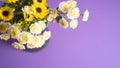 Bouquet of delicate yellow and white spring flowers on violet background. Top view. Copy space. Inspiration. Flower shop