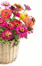 Bouquet from different brights in a basket Royalty Free Stock Photo