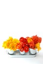 Bouquet of different flower isolated on white Royalty Free Stock Photo