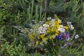 Bouquet from differently wildflowers in blooms, Plana mountain