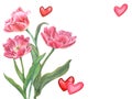Bouquet of double tulips. Pink, red hearts around flowers. Floral romantic composition with space for text. Watercolor
