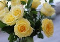 A bouquet of a dozen yellow long stem roses