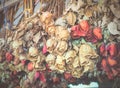 Bouquet of dried dying roses