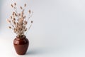 A bouquet of dried flowers in a brown ceramic vase on a white background. Place for your text or information Royalty Free Stock Photo