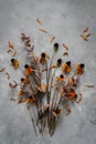 A bouquet of dried flowers on a dark background. Autumn flatlay.