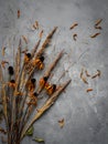 A bouquet of dried flowers on a dark background. Autumn flatlay.