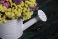 A bouquet of dried flowers in a decorative watering can. Bouquet statice. On pine boards. Close-up
