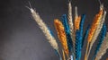 A bouquet of dried wheat flowers painted in yellow and blue colors Royalty Free Stock Photo