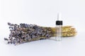 Bouquet of dried lavender flowers on a white background. Lavender essential oil. A transparent glass bottle with a pipette stands Royalty Free Stock Photo