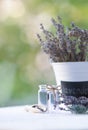 bouquet of dried lavender in white bucket with inscription. Natural blurred background. bottles with aromatic oils