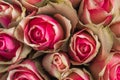 Bouquet of dried pink rose Royalty Free Stock Photo