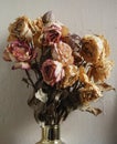 Bouquet of dried roses