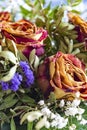 A bouquet of dried roses and various complementary plants. Focussed is the rose on the right side Royalty Free Stock Photo