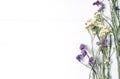 Bouquet of dried wild flowers on white table background  with natural wood vintage planks wooden texture top view horizontal Royalty Free Stock Photo