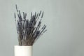 A bouquet of dry blue lavender stands in a white vase on a table against a gray wall. Space for text Royalty Free Stock Photo