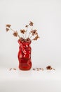 Bouquet of dry flowers in a vase isolated on white Royalty Free Stock Photo