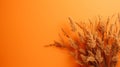 Professional Orange Background With Decorative Dried Grasses