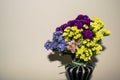 Bouquet of dry multi colored flowers