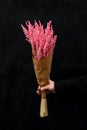 Bouquet of dry pink lavender on a black background