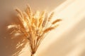 Bouquet of dry wheat and grasses in a vase with warm light and shadows Royalty Free Stock Photo