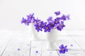 Bouquet of early spring wild blue hepatica flowers in small vase on white background.