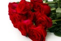 Bouquet of eleven red roses on white background. Royalty Free Stock Photo