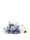 Bouquet with english daisy Bellis perennis and forget-me-not on white background with space for text