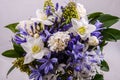 Bouquet of euharis flowers in purple tones Royalty Free Stock Photo