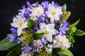 Bouquet of euharis flowers in white and purple tones on a black background Royalty Free Stock Photo