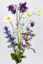 Bouquet of European spring flowers on white background