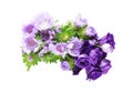 Bouquet of eustoma and pincushion flowers Royalty Free Stock Photo