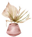 Bouquet of exotic plants and palm tree leaves in a ceramic vase. Watercolor dried tropical illustration.