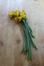 Bouquet of faded daffodils on old wood table