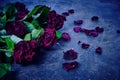 Bouquet of faded red roses with dead petals on the floor