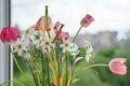 Bouquet of faded spring flowers, tulips and white daffodils dried up