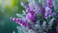 A bouquet featuring a mix of lavender and sage, Royalty Free Stock Photo