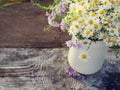 Bouquet of field camomiles in a white jug Royalty Free Stock Photo