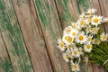 Bouquet field chamomile daisies flowers in door handle on old wooden background. Concept rustic romantic surprise. Copy space