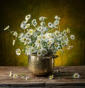 Bouquet of field chamomiles in the vase.