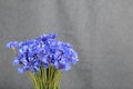 Bouquet field cornflowers.