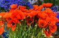 Bouquet of field cornflowers and poppies on the table in a vase Royalty Free Stock Photo