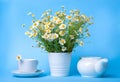 A bouquet of field daisies and a cup of chamomile tea on a blue background. Royalty Free Stock Photo