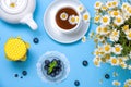 A bouquet of field daisies and a cup of chamomile tea, blueberries on a blue background. Royalty Free Stock Photo