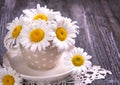 bouquet of field daisies in a cup on the table