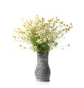 Bouquet of field daisies in a gray handmade clay vase on a white background Royalty Free Stock Photo