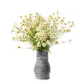 Bouquet of field daisies in a gray handmade clay vase on a white background Royalty Free Stock Photo