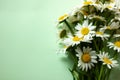 Bouquet of field daisies in a vase on a green background. Medium plan, selective shot Royalty Free Stock Photo